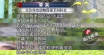 2女1男逃票翻墙进动物园 落地时周围站7只虎 - News.Sina.com.Cn