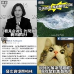 蔡英文曾强调导演借纪录片看见台湾问题，她就是要解决问题。（图片来源：台湾“中时电子报”） - News.Sina.com.Cn