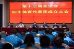 杨兴平出席第十三届全运会四川体育代表团成立大会并讲话 - 人民政府