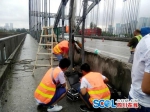 紧急路况：成都绕城高速府河大桥被撞受损 道路交通管制 - Sc.Chinanews.Com.Cn