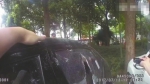 小女孩被锁车内昏迷 民警救人反被抱怨"为啥砸窗?" - Sichuan.Scol.Com.Cn