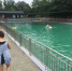 游泳池敲响警钟 四川半月内三起事故 受伤的全是孩子 - Sichuan.Scol.Com.Cn