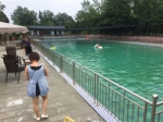 游泳池敲响警钟 四川半月内三起事故 受伤的全是孩子 - Sichuan.Scol.Com.Cn