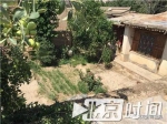 高承勇在青城镇农村的老家院子。图/尹志艳 - News.Sina.com.Cn