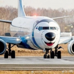 俄罗斯Nordstar航空公司飞机换上哈士奇涂装 - News.Sina.com.Cn