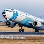 俄罗斯Nordstar航空公司飞机换上哈士奇涂装 - News.Sina.com.Cn