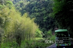 四川黄荆老林森林公园获批 林地面积9千公顷 - 四川日报网