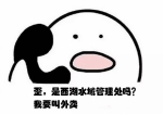 西湖边每天捞起半吨海瓜子 网友:葱油还是红烧 - News.Sina.com.Cn