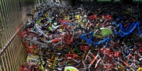 8月8日，数千辆共享单车被“遗弃”在北京一高架桥下。 中新社记者 贾天勇 摄   - News.Sina.com.Cn