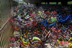 8月8日，数千辆共享单车被“遗弃”在北京一高架桥下。 中新社记者 贾天勇 摄   - News.Sina.com.Cn