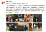 @聚焦拉美 微博截图 - News.Sina.com.Cn