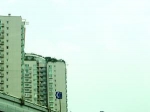 如今，楼顶又出现成片绿植。 - News.Sina.com.Cn