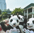 “熊猫BUS”游香江 - Sichuan.Scol.Com.Cn