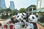 “熊猫BUS”游香江 - Sichuan.Scol.Com.Cn