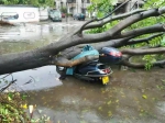 台风“天鸽”致16人遇难 云南四川等省区有暴雨 - News.Sina.com.Cn