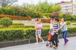 绿色街道串起市民优质生活 - Sichuan.Scol.Com.Cn