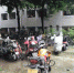 校园环境治理系列报道（六）：莫让自行车在校园“尸”横遍野 - 四川师范大学