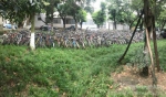 校园环境治理系列报道（六）：莫让自行车在校园“尸”横遍野 - 四川师范大学