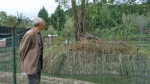 南部县一养殖场80条鳄鱼“越狱” 77条追回3条失踪 - Sichuan.Scol.Com.Cn