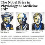 外事儿（微信ID：xjb-waishier）看到，按诺贝尔奖委员会的说法，三人获奖理由是“发现控制昼夜节律的分子机制”： - News.Sina.com.Cn
