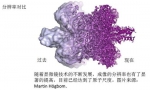 诺贝尔化学奖得主简历这样写 看了让人惊掉下巴 - News.Sina.com.Cn
