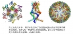 诺贝尔化学奖得主简历这样写 看了让人惊掉下巴 - News.Sina.com.Cn