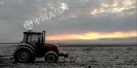 5日，新疆塔城降雪，对农产品收割造成一定影响。（曾春雷 摄） - News.Sina.com.Cn