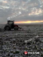 5日，新疆塔城降雪，对农产品收割造成一定影响。（曾春雷 摄） - News.Sina.com.Cn