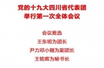 党的十九大四川省代表团举行第一次全体会议 - 旅游政务网
