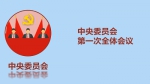 中共中央总书记是怎样产生的 - 四川日报网