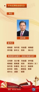 一张图，带你看懂新一届党的中央领导机构 - 四川日报网