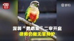 深圳“鹦鹉案”二审开庭 律师坚持做无罪辩护 - News.Sina.com.Cn