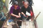 宜宾受伤白鹭获救后不舍离去，在"恩人"的渔船安家 - Sichuan.Scol.Com.Cn