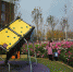 在成华区高车三路绿地，一位妈妈正带着孩子观赏美丽的花儿 - Sc.Chinanews.Com.Cn