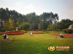 新都区花海游园的熊猫雕塑和周围的绿化相得益彰 - Sc.Chinanews.Com.Cn