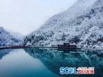 喇叭河银装素裹上演雪景大片 金丝猴和小熊猫也来凑热闹 - Sichuan.Scol.Com.Cn