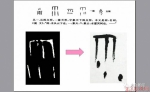 成功入选《世界记忆名录》的甲骨文 你认识几个？ - News.Sina.com.Cn