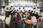 “熊猫走世界·美丽中国”走进日本 - 旅游政务网