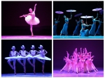 高雅艺术进校园之芭蕾舞《雪花》专场演出在我校精彩上演 - 西南科技大学