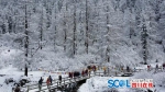 全国首例网友定票价，四川达古冰山门票游客说了算！ - Sichuan.Scol.Com.Cn