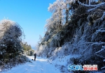 荥经：冬日龙苍沟 “冰雪世界”好去处 - Sichuan.Scol.Com.Cn