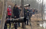 成都青龙湖来“稀客” 一只白尾海雕被众多摄影师偷拍 - Sichuan.Scol.Com.Cn