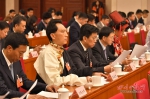 四川代表团举行全体会议 推选王东明为团长 尹力等为副团长 - 人民政府