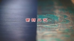 【蜀风·蜀韵】2018中国纺织非物质文化遗产展 - 成都纺织高等专科学校