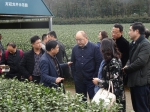 刘东厅长率队赴中国农科院茶叶研究所调研 - 科技厅