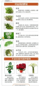 成都植物园专家提醒:春天踏青，这些花和野菜不能吃哦 - Sichuan.Scol.Com.Cn