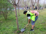 石工院青志协举办植树节活动 - 西南石油大学