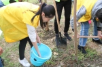 学工部（研工部）组织开展学子感恩林2018年首次集中维护活动 - 西南石油大学