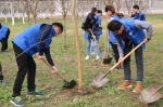 学工部（研工部）组织开展学子感恩林2018年首次集中维护活动 - 西南石油大学