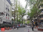 打卡新成都 | 宽窄巷子在少城，少城易出“网红街”，因为这里“最成都” - Sichuan.Scol.Com.Cn